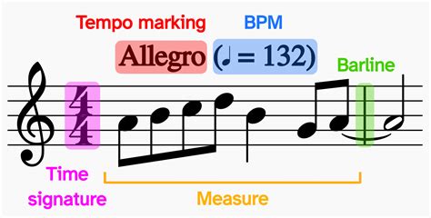 how long is a measure in music? the tempo and dynamics of musical time